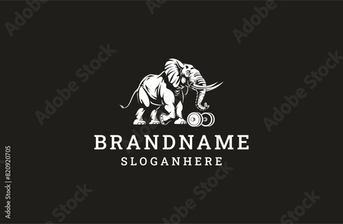 Elephant fitness logo template vector illustration design