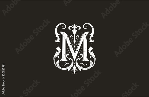 Letter m logo template vector illustration design