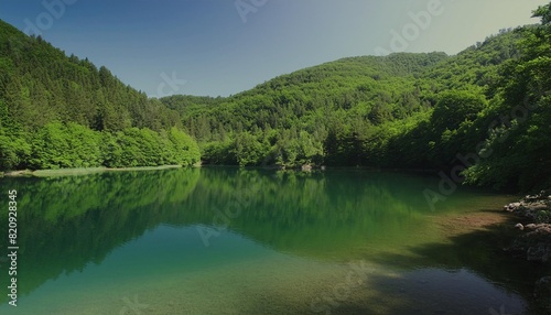 green luxuriant forest around edge of calm small lake in croatia