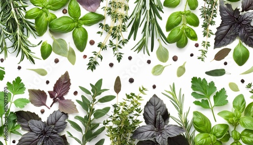 frame border made of loosely spread mediterranean herbs isolated over a transparent background basil thyme oregano rosemary sage and green and black pepper cut out herbs and food element png photo