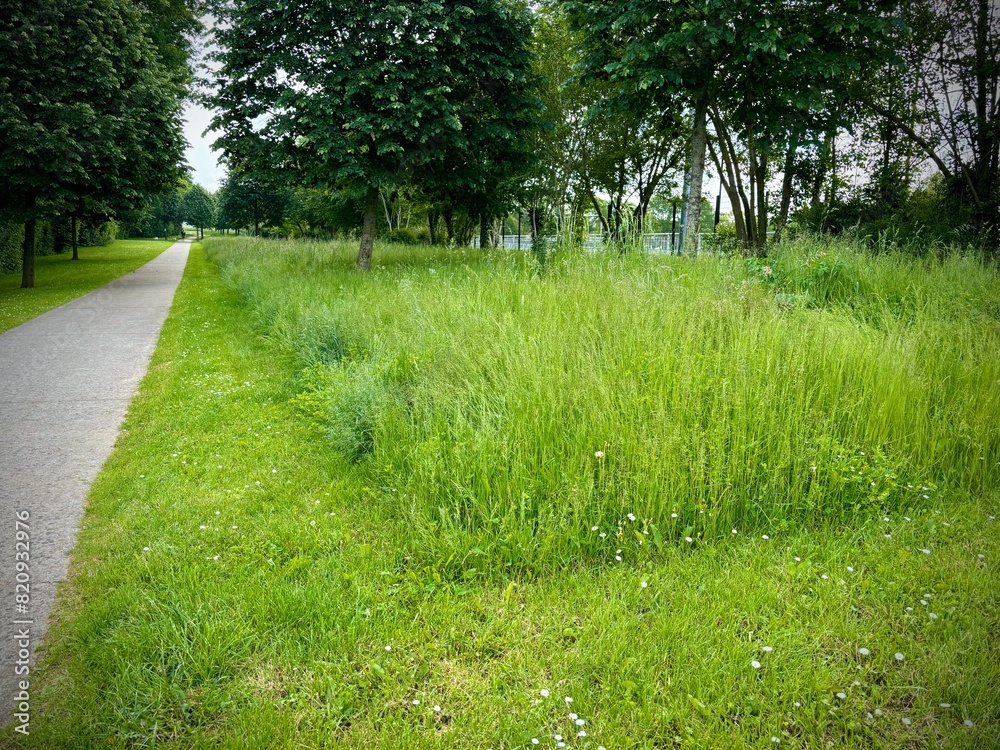 urban sustainable management urban sustainable management