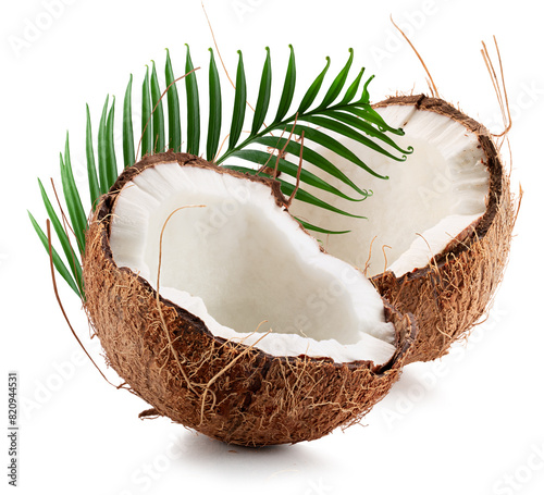 coconuts with palm leaf isolated on a white background. Clipping path