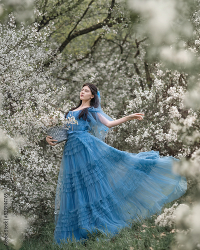 A girl in a blue dress dancing in a cherry orchard