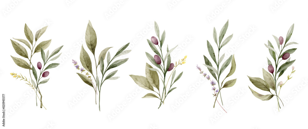 Watercolor vector bouquet set with olive branches and green foliage. Hand painted botanical illustration. Greenery clipart for greeting cards, decoration, wedding invitation, stationery design.