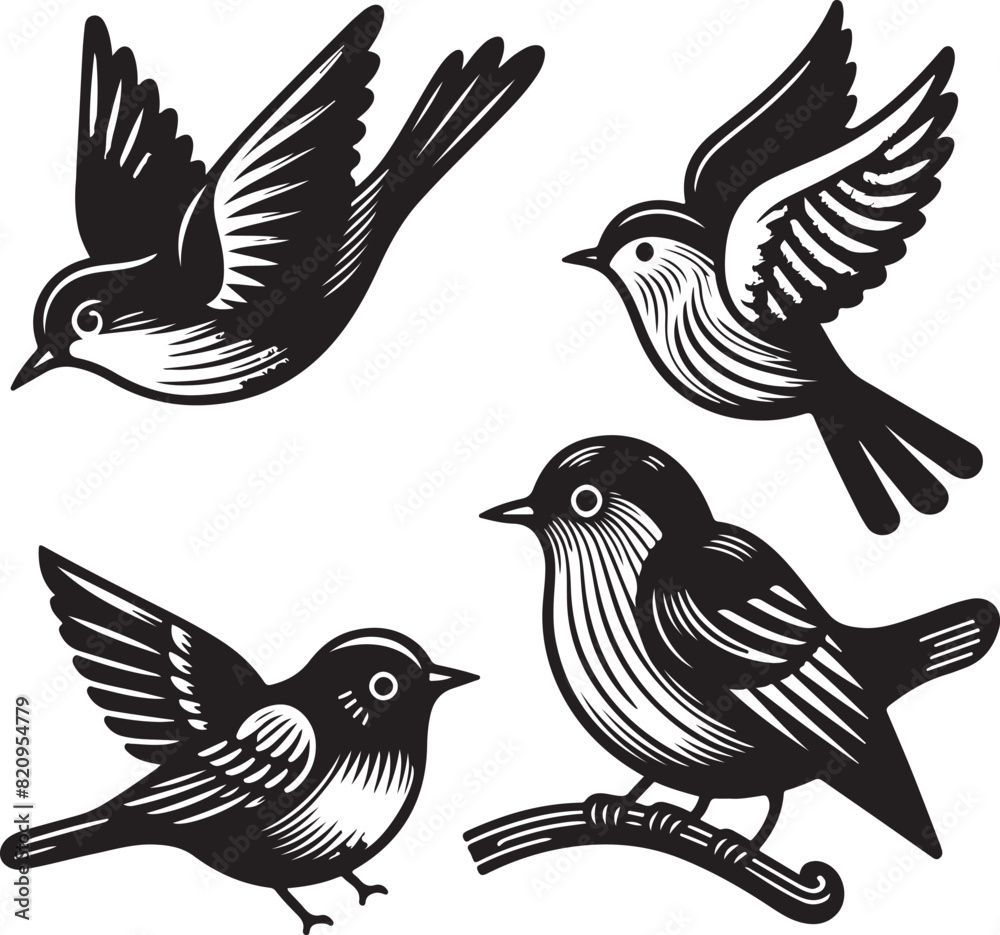 bird vectore illastration bird vectore illastration