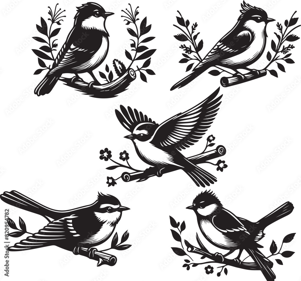 Obraz premium bird vectore illastration