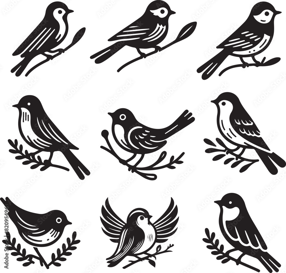 bird vectore illastration bird vectore illastration