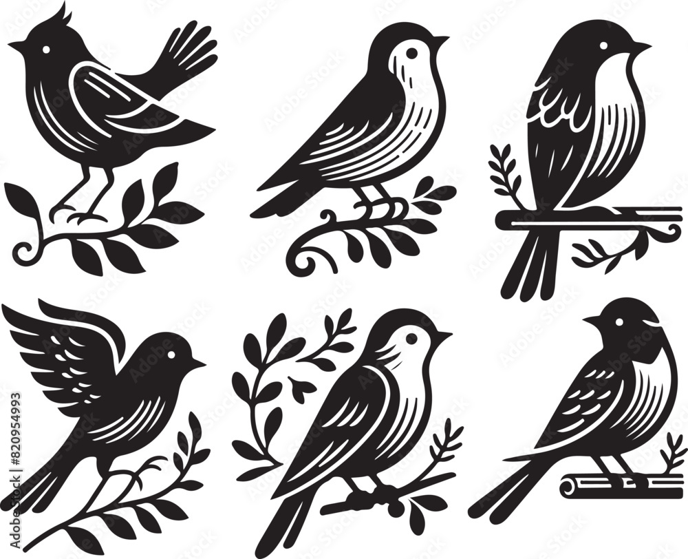 bird vectore illastration
