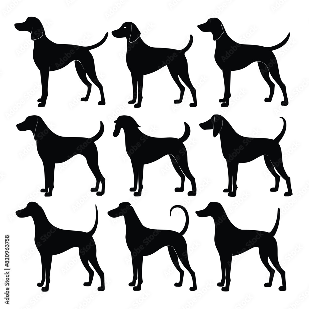 Set of Black American Coonhound Silhouette Vector on a white background