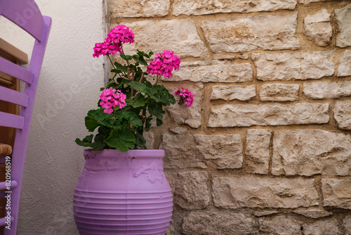 magenta color geranium plant of old style stone brick wall background