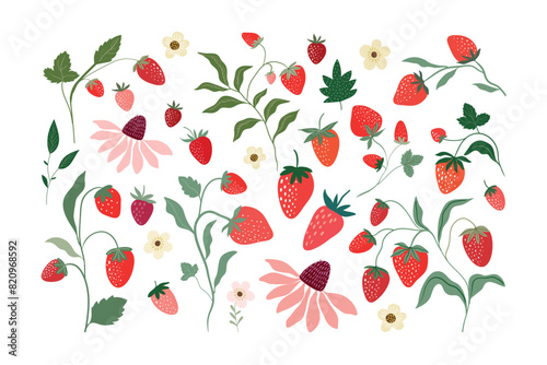 Strawberries collection with different fruits, summer composition, decorative design, elements isolated on white background © lilett