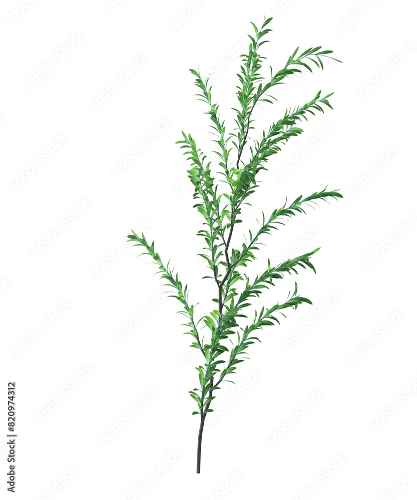 pianta, albero, fusto, con, senza, vaso, e, foglie, arancioni, verdi, gialle, rosse, fondo trasparente, isolato, cactus, alberi, impianto, pentola, foglia, fiore, natura, isolata, pianta da appartamen pianta, albero, fusto, con, senza, vaso, e, foglie, arancioni, verdi, gialle, rosse, fondo trasparente, isolato, cactus, alberi, impianto, pentola, foglia, fiore, natura, isolata, pianta da appartamen