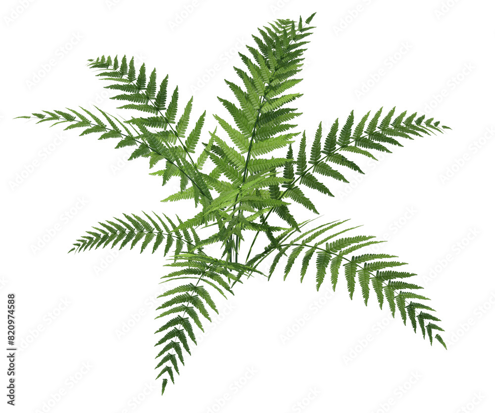 pianta, albero, fusto, con, senza, vaso, e, foglie, arancioni, verdi, gialle, rosse, fondo trasparente, isolato, cactus, alberi, impianto, pentola, foglia, fiore, natura, isolata, pianta da appartamen pianta, albero, fusto, con, senza, vaso, e, foglie, arancioni, verdi, gialle, rosse, fondo trasparente, isolato, cactus, alberi, impianto, pentola, foglia, fiore, natura, isolata, pianta da appartamen