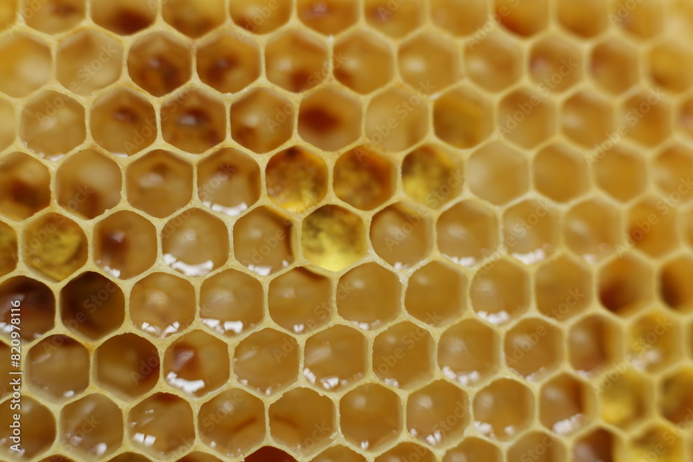 close up photo of a honeycomb close up photo of a honeycomb