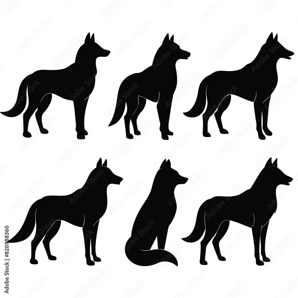 Set of Arabian Wolf black Silhouette Vector on a white background