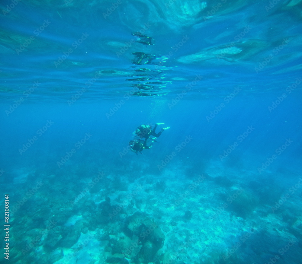 first scuba diving lesson in the sea, underwater photo. Two divers undersea, one monitor and one beginner. first scuba diving lesson in the sea, underwater photo. Two divers undersea, one monitor and one beginner.