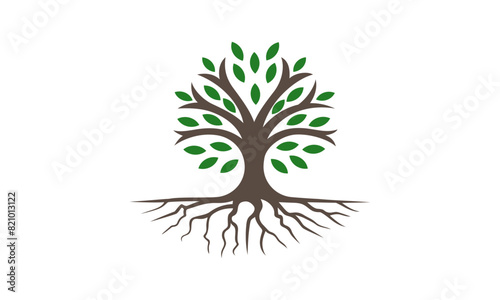 Tree vector illustrations roots mangrove tree vector isolated print design photo