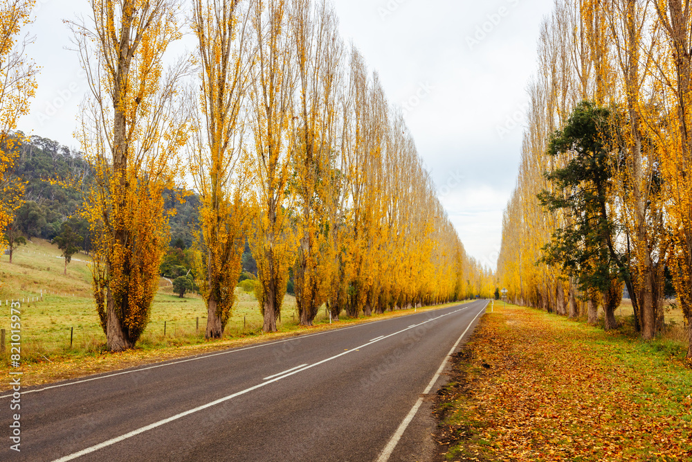 Gould Memorial Drive in Marysville in Australia Gould Memorial Drive in Marysville in Australia