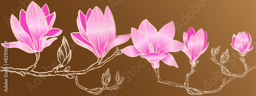 pink magnolia flowers with a golden gradient