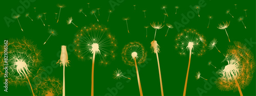 vector dandelion golden gradient fluff with seeds flies away