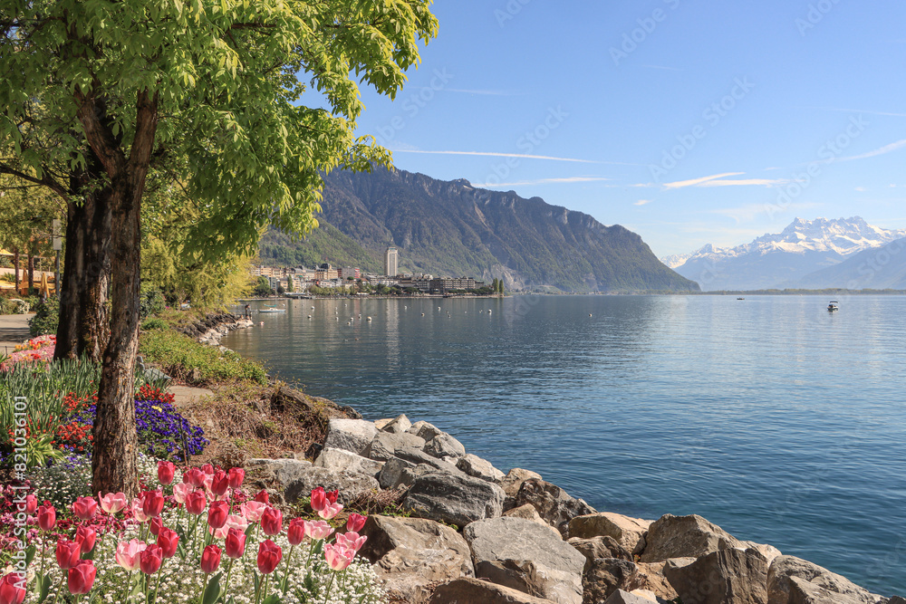 Frühling am Genfer See; Blick auf Montreux vom Quai de Clarens