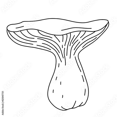Illustration au trait noir de champignon Bolet