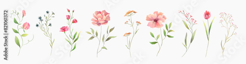 Set of luxury green leaves and flowers elements in watercolor style. Aquarelle trendy greenery branches and blooming. Vector isolated on white background for Invitation, greeting