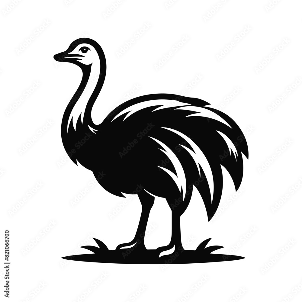 Fototapeta premium Ostrich Animal Black Silhouette Vector With White Color Background