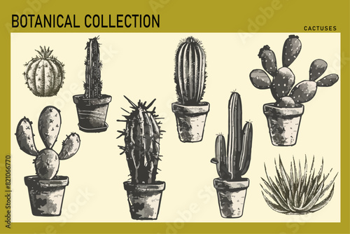 Set of different cactuses with monochrome vintage photocopy effect, y2k collage design. Stipple halftone retro design elements. Vector illustration for grunge punk surreal poster 