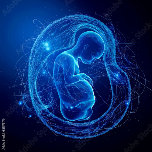 fetus (baby) in the womb anatomy , Dark  blue  background, Healthcare and medicine concept.