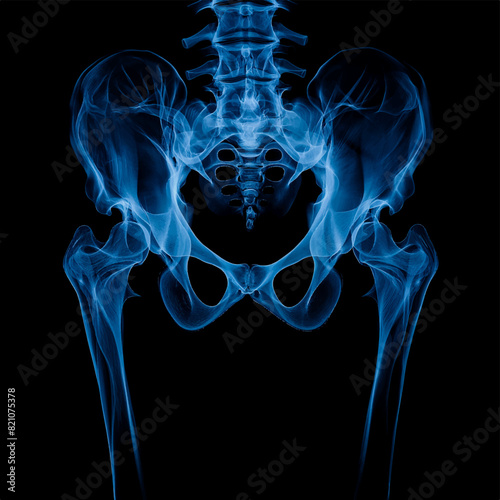 Humen pelvis bone  on a dark blue background, Healthcare and medicine concept.