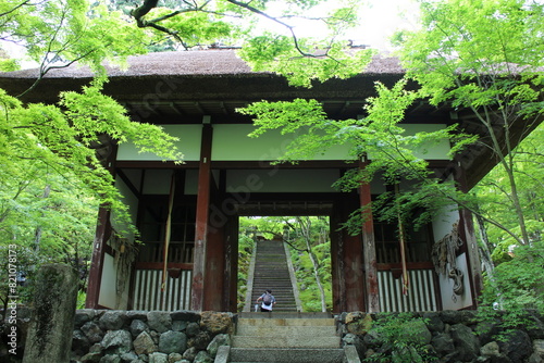 Nio-mon Gate and fresh green in Jojakko-ji Temple in Kyoto, Japan