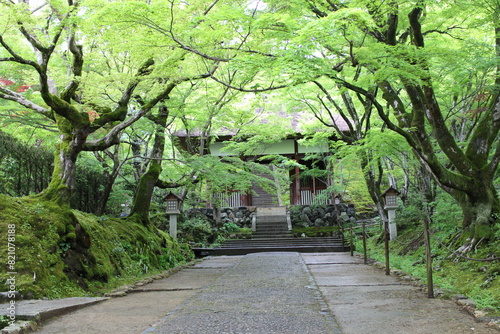 Nio-mon Gate and fresh green in Jojakko-ji Temple in Kyoto, Japan photo