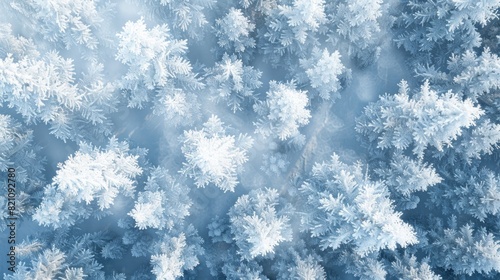 Frosty Winter Wonderland: Close-Up of Intricate Snowflakes © Viktorikus
