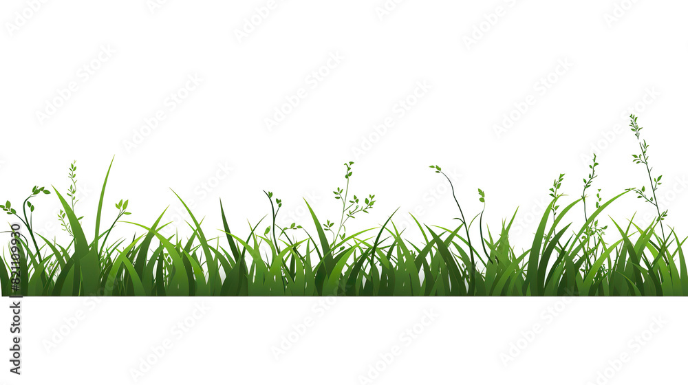 Fototapeta premium grass solitary against a blank white background