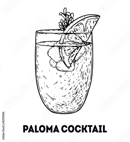 Paloma cocktail illustration. Hand drawn sketch. Vector illustration. Isolated object.