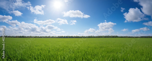 A vast  lush green field stretches towards the horizon under a bright blue sky dotted with fluffy white clouds