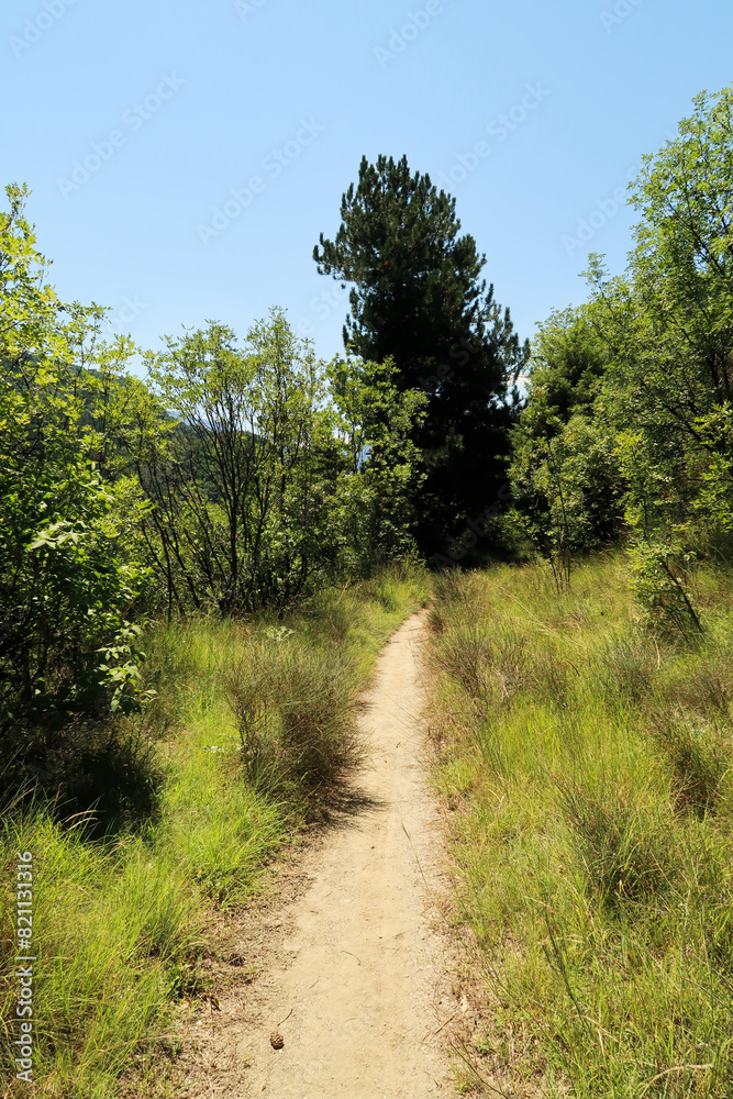 Obraz premium The hiking trail between Asen's Fortress and the Bachkovo Monastery is running through lush, dense vegetation, near Plovdiv, Plowdiw, Bulgaria