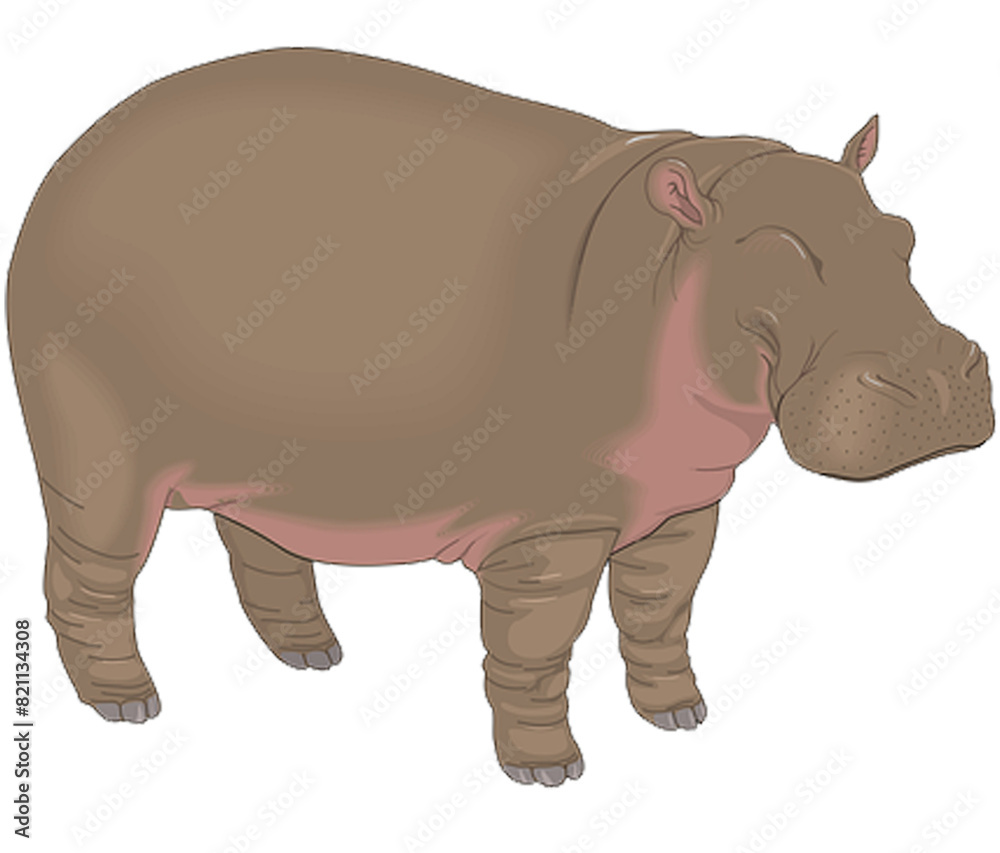 Hippo Hippo