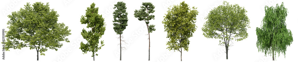 Collection of realistic large woods trees with isolated on transparent background. PNG file, 3D rendering illustration, Clip art and cut out Collection of realistic large woods trees with isolated on transparent background. PNG file, 3D rendering illustration, Clip art and cut out