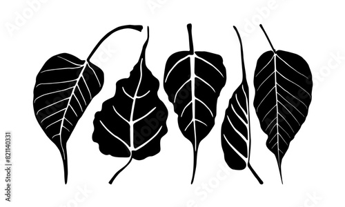 bodhi leaf set isolated on white background. banayan leaves, Wisdom of Guanyin Bodhisattva, wishdom leaves, printable imprint leafs, buddhist symbols leaves, Hand drawn  bodhi leaf, pho bodhi leaves 
