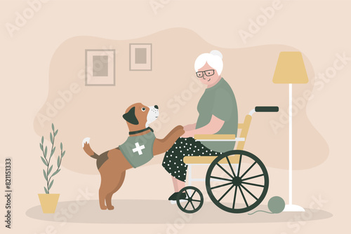 Elderly woman in wheelchair playing with adorable dog. Grandmother lives a full life despite her disability and enjoys moments. Old person receiving animal assisted therapy.