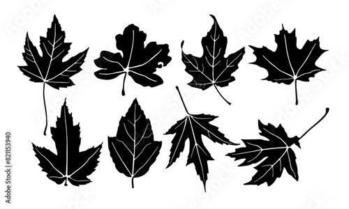 Maple leaf silhouette vector designs