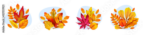 Autumn leaves compositions. Realistic isolated yellow orange and red forest trees foliage, chestnut, maple and oak. September natural flora, colorful season elements. Vector botanical set