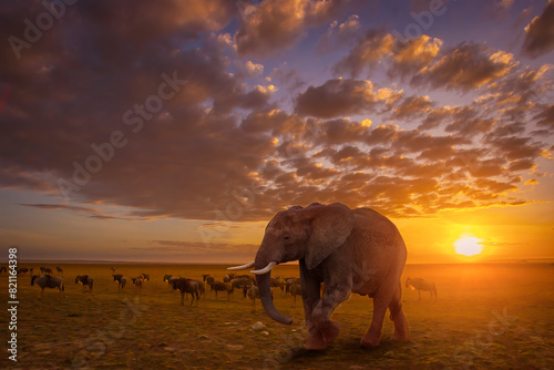 Elephant walks through Afri...