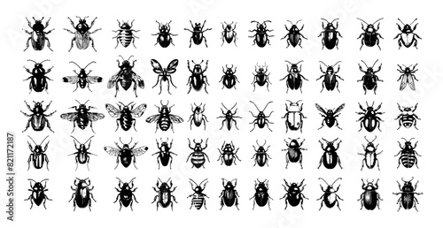 Beetles ink sketch vector set. Bombardier scarabeus goliaf dung rhinoceros may longhorned colorado pollinators insects illustration isolated on white background