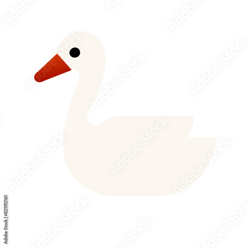 Graceful White Swan - red beak