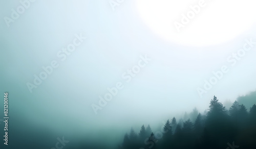 A foggy forest with pine trees on a hillside.