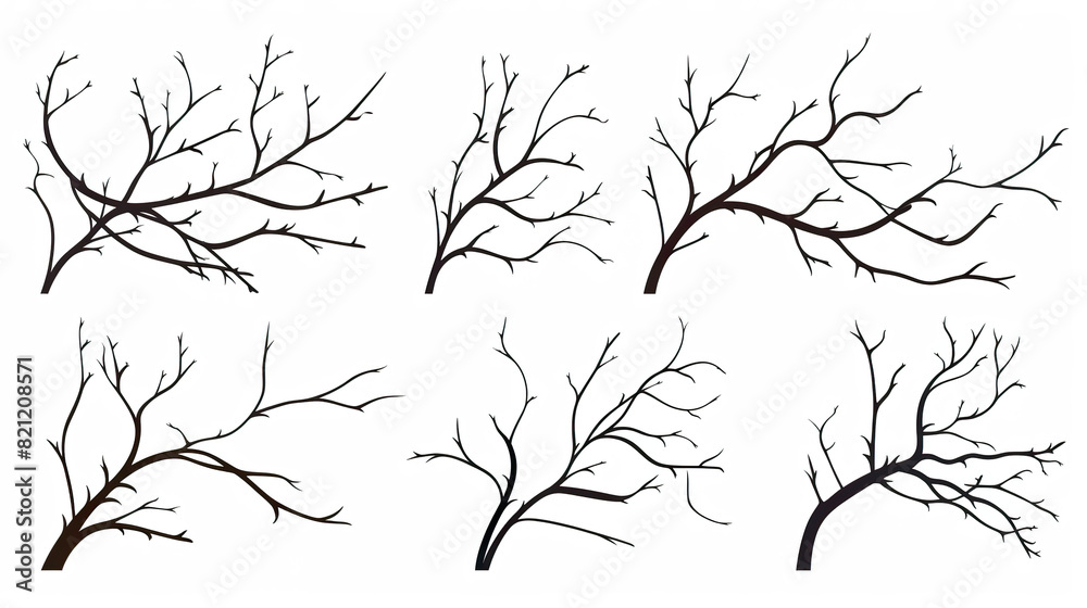 Fototapeta premium Tree limbs isolated against a stark white background