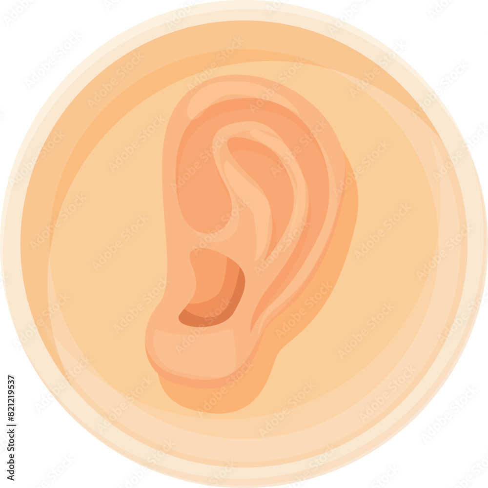 Detailed vector illustration of human ear anatomy and structure for ...